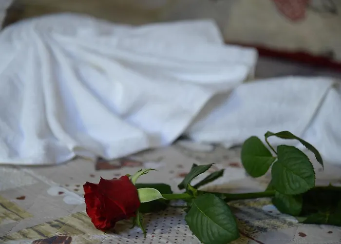 Alojamento de Acomodação e Pequeno-almoço Vin E Turn Diamante