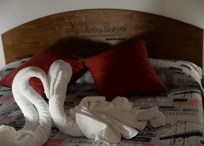 Bed & Breakfast Vin E Turn Diamante